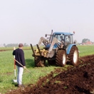 Hulp tijdens ploegwerkzaamheden